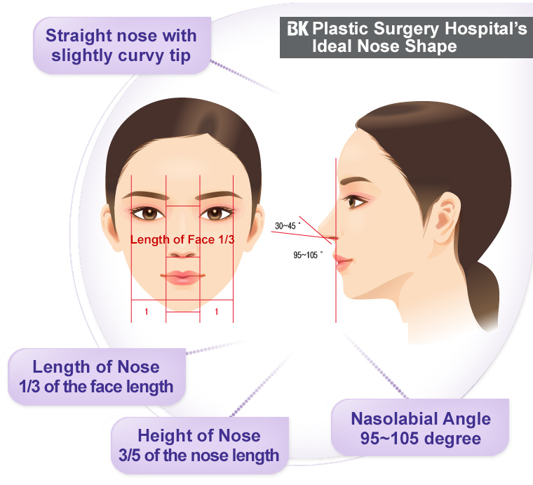 BK Plastic Surgery Hospital’s Ideal Nose Shape